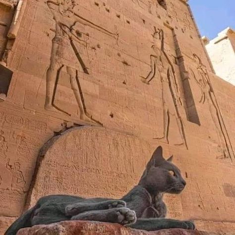 Egyptian Aesthetic, Starověký Egypt, Egypt Aesthetic, Egyptian Temple, Kane Chronicles, Egypt Art, Egyptian Gods, Egyptian Art, Bastille