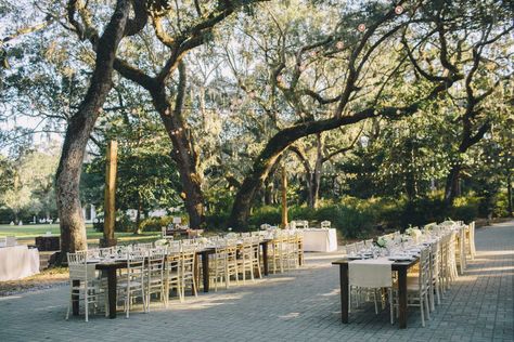 Outdoor Wedding Reception Lighting, Eden Gardens State Park, Best Wedding Websites, Old World Wedding, Eden Gardens, State Park Wedding, Rustic Glam Wedding, Wedding Reception Lighting, Wedding Reception Flowers