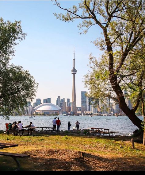 A look at Toronto downtown from Centre Island, Canada 🍁 Toronto Islands Canada, Toronto Downtown, Centre Island, Canada City, Toronto Island, City Centre, Toronto Canada, Cn Tower, Ontario