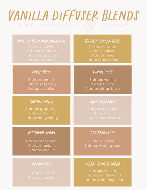 Vanilla Blends.png New Car Essential Oil Blend, Vanilla Clove Essential Oil Blend, Vanilla Cinnamon Essential Oil Blends, Essential Oil Blends With Vanilla, Diffuser Blends Vanilla, Essential Oil Recipes With Vanilla, Bergamot Vanilla Diffuser Blend, Candle Blend Recipe, Vanilla Oil Diffuser Blend