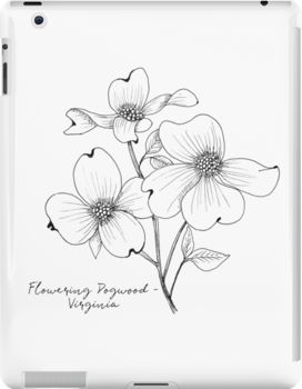 Dogwood Flower Illustration, Dogwood Tattoo Design, Dogwood Tree Drawing, Virginia State Flower Tattoo, Dogwood Tattoos For Women, Virginia Tattoo Ideas, Dogwood Flower Drawing, Dogwood Tree Tattoo, West Virginia State Flower