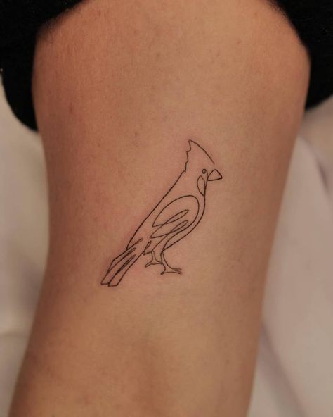 pinterest: hezzprice Cardinal Outline, Cardinal Tattoo Ideas, Small Cardinal Tattoo, Ideas To Paint, Cardinal Tattoo, Cardinal Tattoos, Basic Tattoos, Paint The Town Red, Cool Small Tattoos