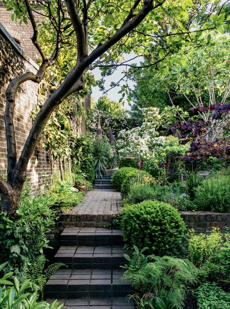 Bay Cottage, Dutch Gardens, Garden Canopy, London Garden, City Garden, Flowers Wallpaper, Small Garden Design, Back Gardens, Courtyard Garden