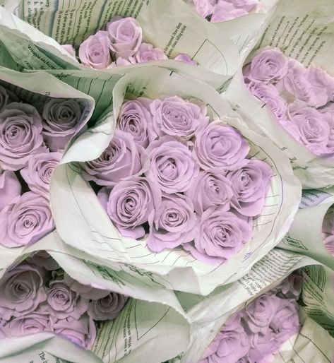 Lilac Roses Aesthetic, Ecuadorian Roses, Roses Aesthetic, Lilac Roses, Birthday Brunch, Flowers Rose, Spring Aesthetic, Lilac Purple, Architecture Sketch