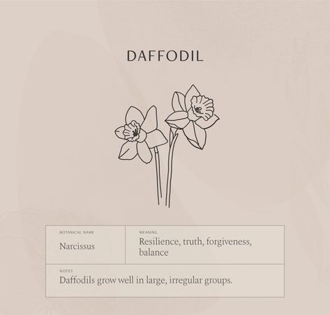 Daffodil Flower Meaning, Daffodil Tattoo Meaning, 2 Daffodils Tattoo, Narcissus Flower Meaning, Daffodil Meaning, Dafodill Flowers Tattoo, Flower Symbolism, Meaningful Wrist Tattoos, Daffodil Tattoo