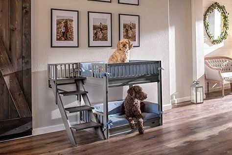 Pet Bunk Bed, Dog Bunk Beds, Dog Bedroom, Washing Station, Dog Cots, Dog Crate Bed, Dog Washing Station, Crate Bed, Dog Tricks