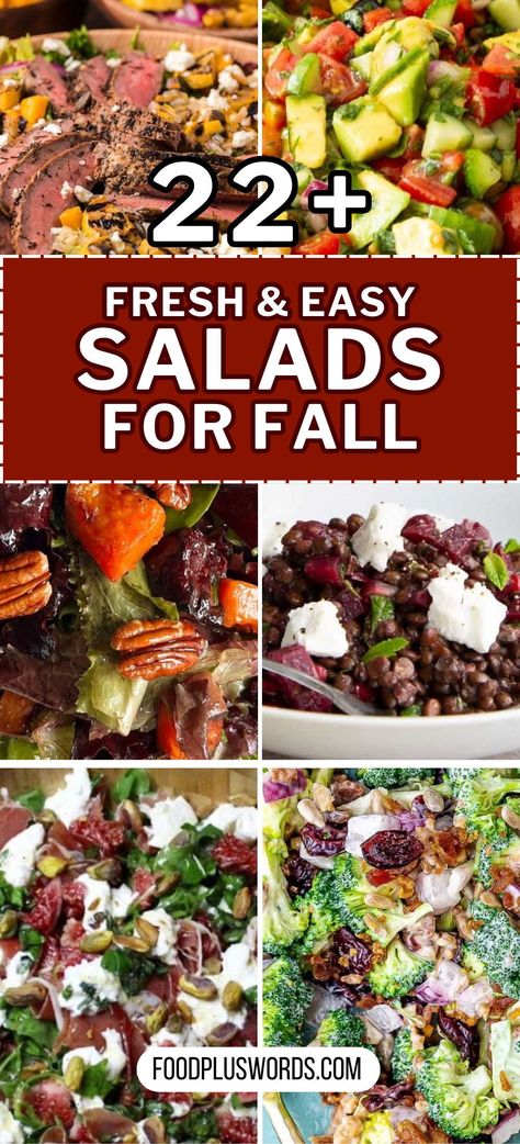 From festive parties to casual dinners, these fall salad recipes provide healthy and tasty options for any event. Easy to make and perfect for serving a crowd, these salads incorporate autumn flavors and ingredients. Explore recipes that bring together the best of the season in every bite. Whether you’re looking for something simple or impressive, these fall salads have you covered. Best Fall Salads, Party Salads For A Crowd, Fall Salads For A Crowd, Salads With Apples, Meat Fondue, Easy Winter Meals, Fall Salad Recipes, Cheap Dinners For A Family, Salad To Go