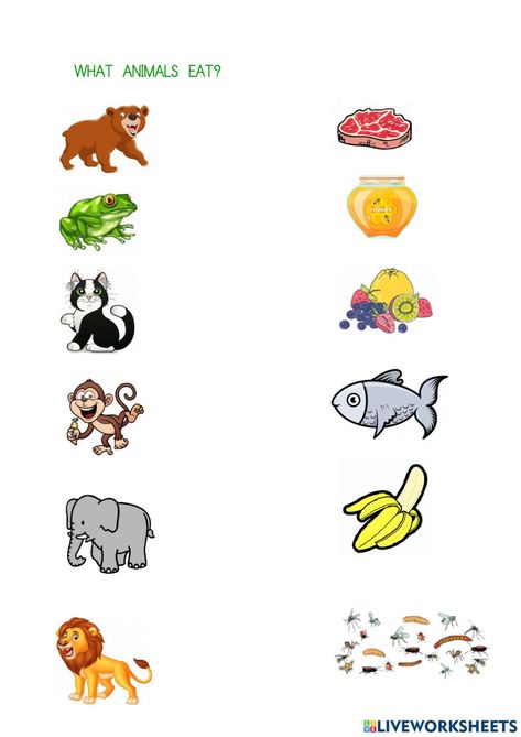 What Animals Eat Worksheet, What Animals Eat, Animal Riddles, Online Activities, School Subjects, Chapter 3, Online Workouts, Colorful Backgrounds, Kindergarten