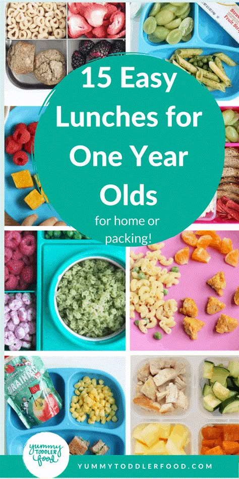 Cold Lunch Ideas For 12 Month Old, Food Ideas 1 Year, Healthy Food For One Year Old, Baby Lunches 1 Year, Good For One Year Old, Lunch For 15 Month Old, Lunch 12 Month Old, 12 Month Lunch Ideas, Lunch Ideas For 1 Year Baby