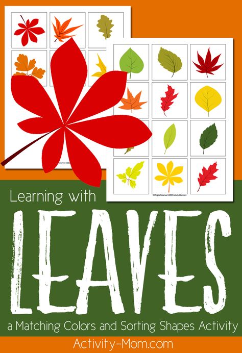 Leaf Color Matching Activity  - Sort by color or shape with this FREE printable activity  #matching #freeprintable #toddlers #preschoolers #fall #kids #sorting Leaf Matching Free Printable, Leaves Activities, Fall Leaves Activities, Leaf Printables, Shape Sorting Activities, Childhood Activities, Free Fall Printables, Matching Activities, Primary Chorister