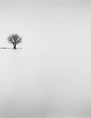 Minimal Photography, White Landscape, Tree Stands, Lone Tree, Black And White Landscape, 수채화 그림, Photo B, Minimalist Photography, Foto Art