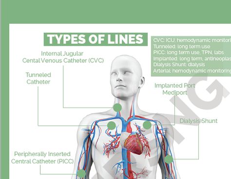 Central Lines Nursing, Central Venous Catheter Nursing, Parenteral Nutrition, Central Venous Pressure, Central Venous Catheter, Nurse Study, Central Line, Nurse Study Notes, Respiratory Therapy