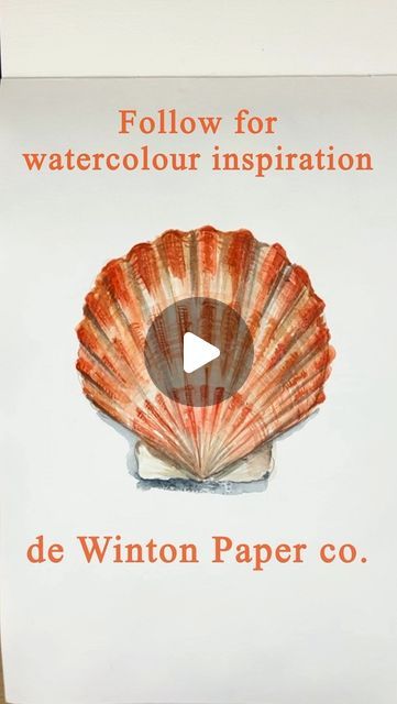 De Winton Paper Co Tutorials, Watercolour Journaling, Watercolor Shells, Watercolor Seashells, Summer Holiday Activities, Beach Art Painting, Watercolour Inspiration, Watercolor Paintings Tutorials, Scallop Shells