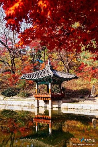 Seoul Subway, Changdeokgung Palace, Where To Stay In London, South Korea Seoul, Black Lion, Holland Park, Beautiful Scenery Pictures, High Road, Time Of Your Life