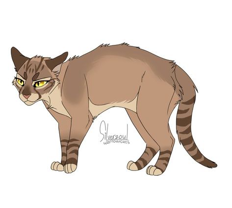 Wind Runner, Warrior Cats Series, Warrior Cats Books, Warrior Cats Fan Art, Warrior Cat Drawings, Warrior Cat Oc, Cat Oc, Warrior Cats Art, Animal Groups