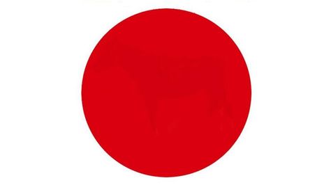 What do you see in the red dot? This optical illusion has people going dotty! Optical Illusions Mind Blown, Optical Illusions For Kids, Optical Illusions Drawings, Period Symptoms, Optical Illusions Pictures, Illusion Photography, Abc Crafts, Illusion Pictures, Optical Illusion Tattoo