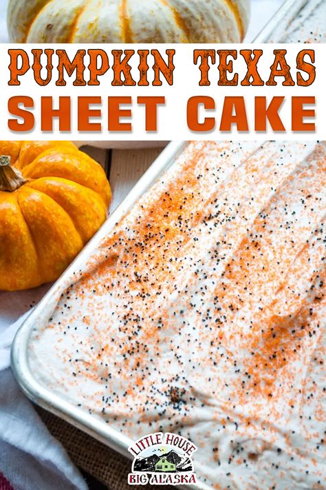 Pumpkin Cake Roll, Sheet Cake Cookies, Moist Pumpkin Cake, Texas Sheet Cake Cookies, Texas Sheet Cake Recipe, Pumpkin Roll Cake, Sheet Cake Recipe, Fall Cake Recipes, Pumpkin Sheet Cake