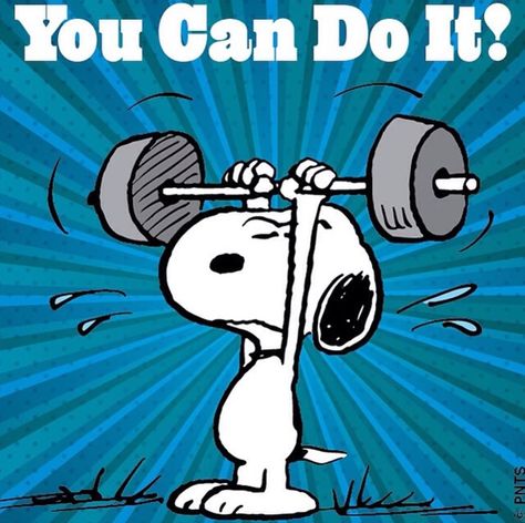 Snoopy workout Woodstock Snoopy, Happy Week End, Snoopy Funny, Peanuts Cartoon, Peanuts Characters, Charlie Brown Snoopy, Snoopy Quotes, Snoopy Pictures, Snoop Dog