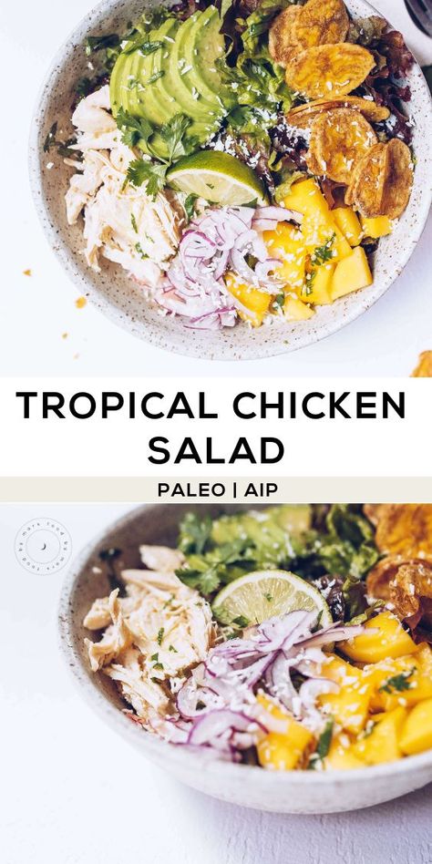 Aip Shredded Chicken Recipes, Aip Friendly Recipes, Aip Salad Recipes, Aip Salad, Aip Salads, Ancestral Eating, Aip Dinners, Tropical Chicken, Cilantro Vinaigrette