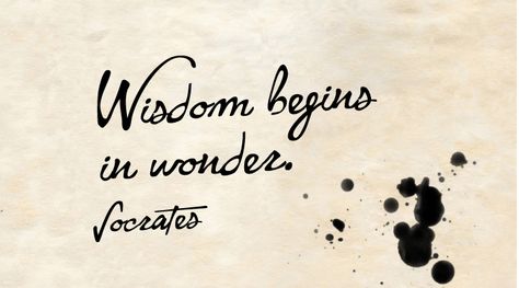 Wisdom Begins In Wonder, Socrates Quotes, Question Authority, Socrates, Make A Difference, Poetry Quotes, Librarian, Picture Quotes, A Smile