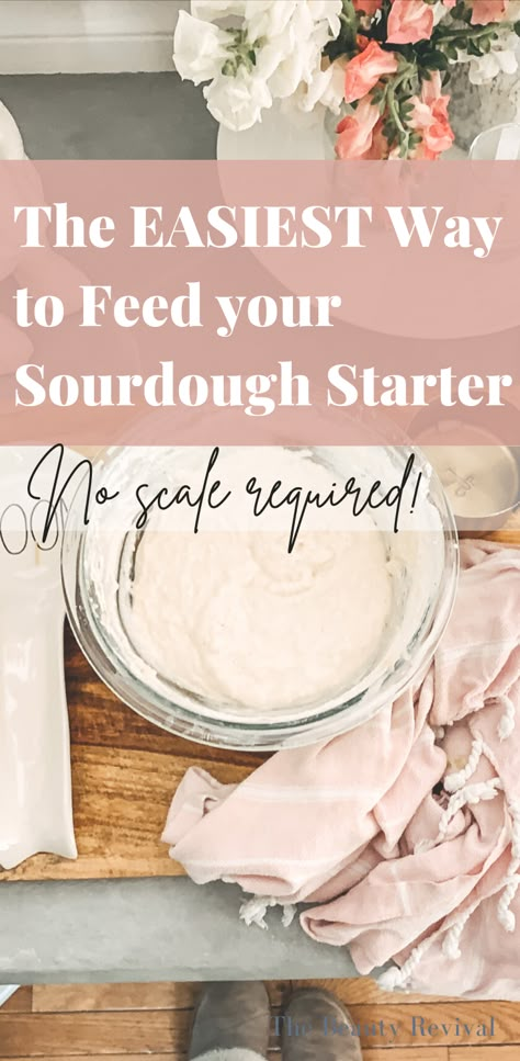 Store Sourdough Starter, Best Sourdough Starter Recipe, Sourdough Bread Starter, Dough Starter, Homemade Sourdough Bread, Bread Starter, Sourdough Starter Recipe, Cooking Easy, Cheese Pairings