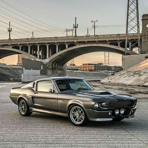 ‘67 Mustang GT500 “Eleanor” Shelby Eleanor, Shelby Mustang Gt500, Shelby Gt 500, Gone In 60 Seconds, Mustang Gt500, Shelby Mustang, Aesthetic Cool, Ford Mustang Shelby Gt500, Ford Mustang Fastback