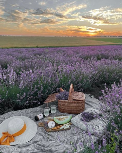 Cottagecore Picnic, Nature Witch, Picnic Inspiration, Lavender Aesthetic, Lavender Field, Spring Mood, Lavender Farm, Beauty Nature, Picnic Party