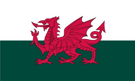 Visiting Singleton Abbey and Park at Swansea University, Wales: historic setting for an institution of learning Welsh National Anthem, Wales Flag, Welsh Flag, Whisky Shop, Flag Printable, Flag Store, Welsh Dragon, International Flags, Wales Uk