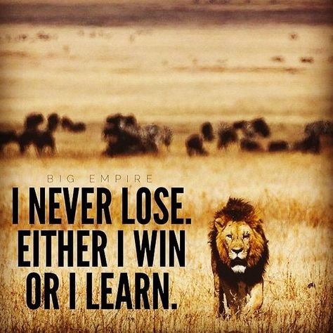 Always remember that there is no failure there are just ways you've figured out not to do something there is no failure only things that we learn from every experience. So remember you never lose you never fail you simply experience gain knowledge and learn. Be BRAVE you're already AMAZING!!! #ABE #AWOL #ARevolutionaryWalk #Blaque #BuildUrBuzz #BRANDED #BuildMovementsnotMonuments #Chosen #CaribbeanBuzz #challengeyourselfdaily #ChallengeEachOther #CatchtheVybe #DIGLyfe #EverydayLyving #ThoughtLif Navy Seals Quotes, Seal Quotes, Funny Life Lessons, Relationship Goals Quotes, I Never Lose, Learn Something New Everyday, Navy Seal, Funny Work, Work Motivation