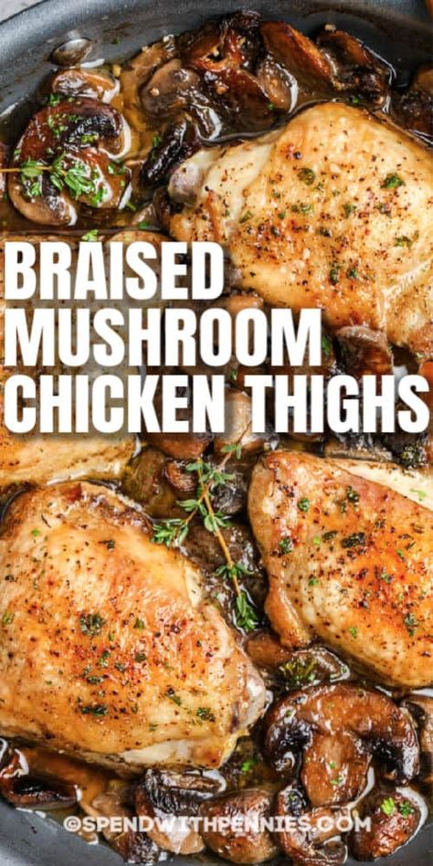 Chicken Thighs With Mushrooms, Baked Chicken And Mushrooms, Beer Braised Chicken, Braised Chicken Recipes, Chicken Thighs Mushrooms, Braised Chicken Thighs, Steamed Veggies, Spend With Pennies, Braised Chicken