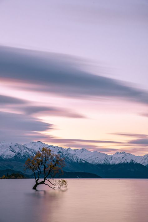 New Zealand Lakes, New Zealand Photography, Picture Cloud, Wanaka New Zealand, Lake Wanaka, Fishing Photography, Enjoy The Silence, Lone Tree, Body Of Water