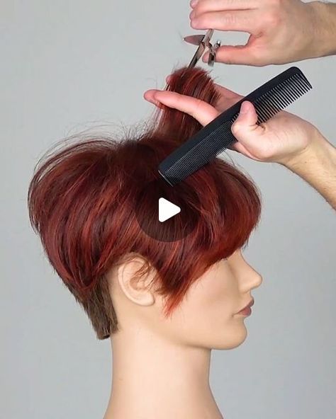 Gilad | Hair Video Education on Instagram: "Shag-Pixie Haircut 😍 Cut a guideline in center that us short in the front and longer in the back. Elevate the sides up to the guideline and cut to guide. This creates the short layers top that blend in to longer lengths at the bottom. Freehand detail the top to match the undercut and you're done!  Cut with @arcscissors Harmony ll  #hairvideos #hairtutorials #haireducation #hairvideo #haircut #haircuts #haircutvideo #haircutting #tutorial #hairvid #hairtrends #haircuttutorial #haireducator #haircutstyle #hairtutorial #howto #pixiecut #shorthairstyle" How To Trim Short Hair At Home, Short Diy Haircut, How To Cut Pixie Haircut Tutorial, How To Cut A Pixie Haircut Diy, Diy Pixie Haircut Tutorials, Self Haircut Tutorial, Pixie Cut Tutorial, Short Shaggy Pixie Haircuts, Shag Pixie