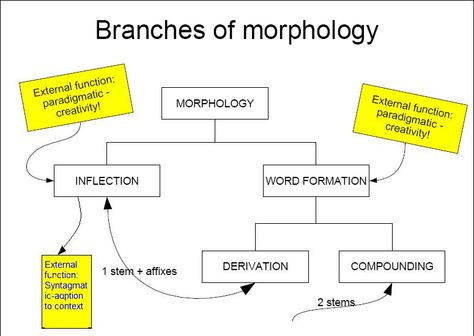 This morphology chart will help teachers understand the different ways to shows morphemes in writing. Morphology Linguistics, Thinking Maps, Word Formation, Snowflake Template, English Language Learning Grammar, English Phonics, Teaching Language Arts, Different Words, English Language Learning