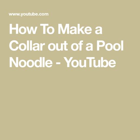 How To Make a Collar out of a Pool Noodle - YouTube Dog Cone, Cone Of Shame, Clean And Organize, Pool Noodle, Pool Noodles, Pet Stuff, Dog Collars, Pet Health, Puppy Love