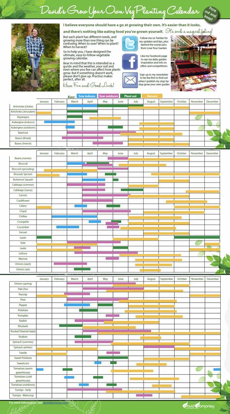 Vegetable Calendar, Vegetable Planting Guide, Growing Calendar, When To Plant Vegetables, Vegetable Garden Planner, Planting Calendar, Veg Patch, Allotment Gardening, Vegetable Garden Planning