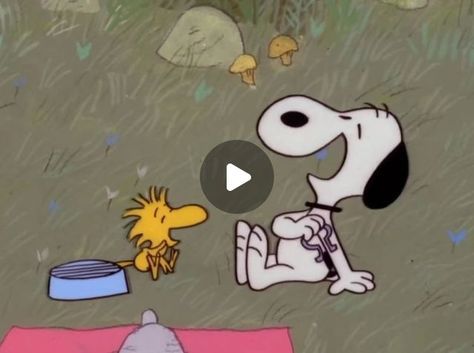 Vintage Cartoons | Snoopy come home, 1972 | Instagram Gifs Snoopy, Snoopy Gif, Goodnight Snoopy, Vintage Cartoons, Snoopy Pictures, August 28, Vintage Cartoon, Come Home, Woodstock