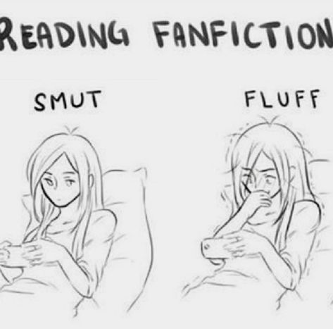 Fangirl Problems, Fandom Memes, Anime Meme, Book Memes, Fan Fiction, Book Humor, Book Fandoms, Two People, Funny Comics