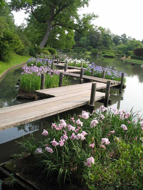 Lake Landscaping, Farm Pond, Natural Swimming Ponds, Pond Landscaping, Swimming Pond, Missouri Botanical Garden, Natural Swimming Pool, Pond Design, Garden Design Ideas