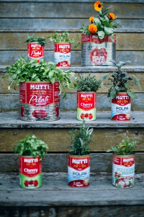 We discovered recently that the Mutti can is particularly versatile, so here are five ways you can make the most of them. Recycled Kitchen, Farmers Market Display, Recycled Tin Cans, Recycle Cans, Recycled Tin, Herb Pots, Tin Cans, Mediterranean Garden, Can Crafts