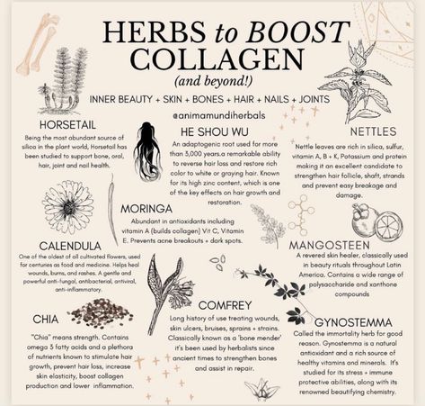 vitamin protein collagen fruits eat healthy Medical Herbs, Inflammatory Recipes, Magia Das Ervas, Magic Herbs, Boost Collagen, Magical Herbs, Herbal Apothecary, Natural Healing Remedies, Herbal Healing