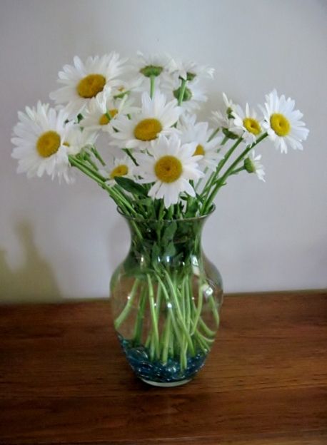 Daisies In A Vase, Flower Reference, Fresh As A Daisy, Still Life Flowers, Fresh Flowers Arrangements, Fresh Cut, Fresh Flowers, Art Room, Painting & Drawing