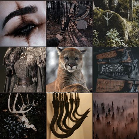 Bat Moodboard, Villain Moodboard, Moodboard Animals, Therian Moodboard, Royal Moodboard, Bear Moodboard, Fursona Moodboard, Cowboy Moodboard, Moodboard Adopt