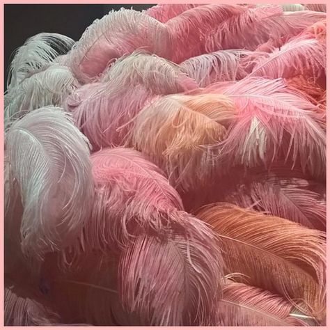 Pink Feather Aesthetic, Business Gift Baskets, Coloured Feathers, Feather Painting, Pinky Promise, Pink Feathers, Art Installation, Christmas Settings, Divine Feminine