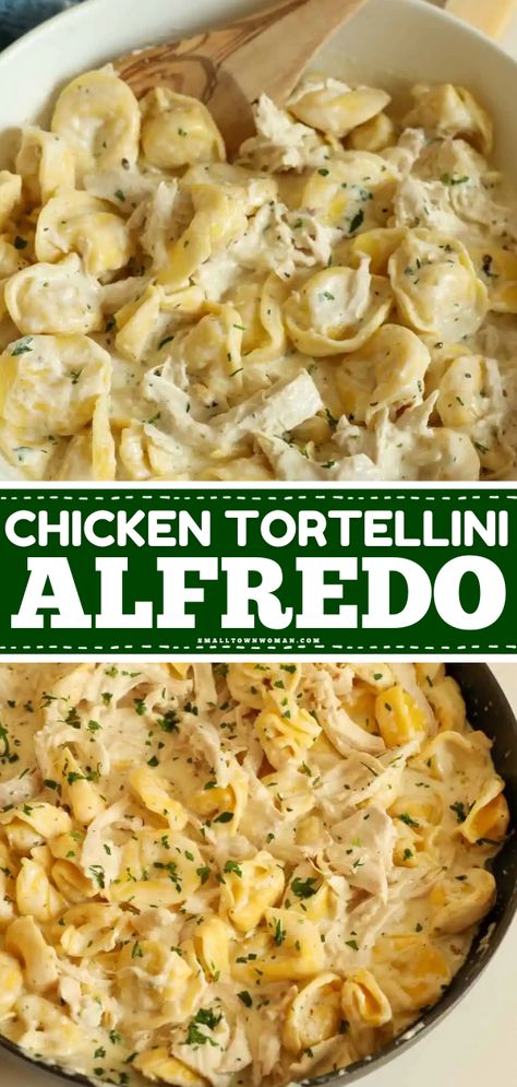 This easy chicken tortellini alfredo is amazing! You're just 20 minutes away from this weeknight dinner for family. Everyone will love this simple pasta recipe with rotisserie chicken and cheese tortellini in a rich and creamy homemade alfredo sauce! Easy Dinner Recipes Cheese Tortellini, Easy Chicken Tortellini Alfredo, Pasta Recipes With Tortellini, Chicken Alfredo With Tortellini, Tortellini And Rotisserie Chicken, Tortellini Alfredo With Chicken, Chicken Alfredo Recipes For Dinner, Rich Pasta Dishes, Chicken Tortilini Alfredo