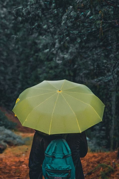 Person With Umbrella, Advantages Of Solar Energy, Camping In The Rain, Spring Camping, Yellow Umbrella, Scenic Photography, Misty Forest, Photography Guide, Photography Landscape