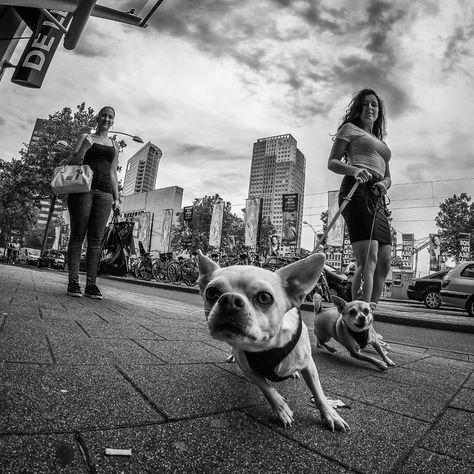 fish eye — Willem Jonkers | Street Photography Street Photography Model, Fisheye Photography, Wide Angle Photography, Street Photography Tips, Street Photography Urban, Street Photography Portrait, Street Photography People, City Streets Photography, Street Pictures