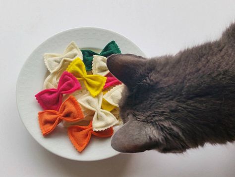 Homemade Cat Toys