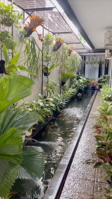 Indoor Garden Decor, Indoor Pond, Fish Feeding, Koi Pond Design, Kolam Koi, Fish Pond Gardens, Café Design, Garden Pond Design, Courtyard Design