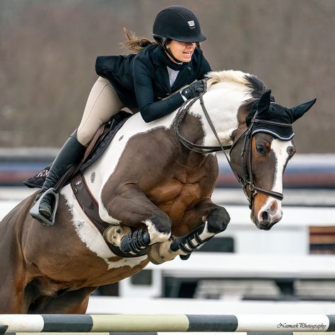 Hunter Horse, Horse Competition, Show Jumping Horses, American Paint Horse, Cute Horse Pictures, Equestrian Aesthetic, Beautiful Horse Pictures, Horse Riding Equestrian, Pinto Horse