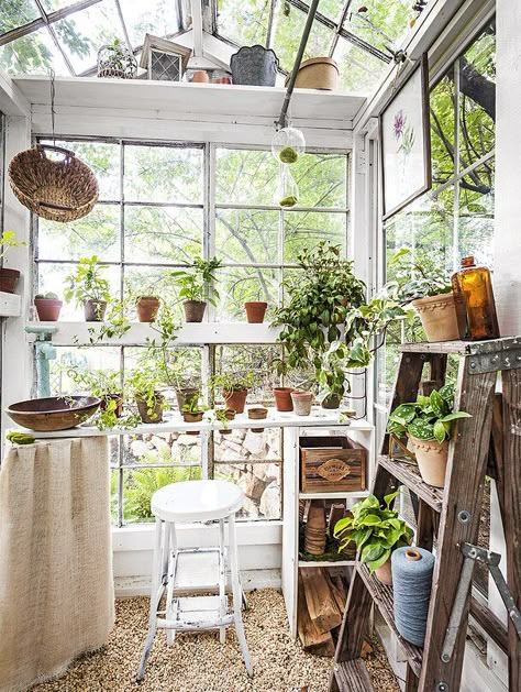 Window Greenhouse, Mini Serre, Greenhouse Shed, Indoor Greenhouse, Greenhouse Interiors, Antique Windows, Backyard Greenhouse, Small Greenhouse, Deco Nature